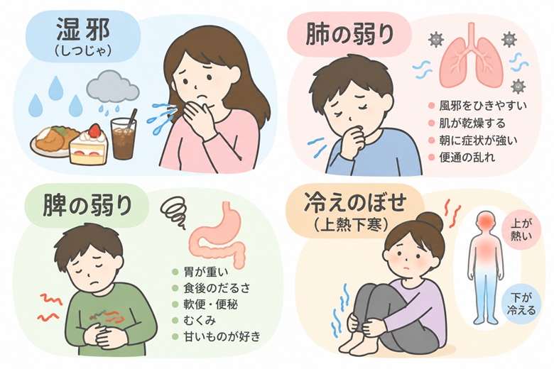東洋医学が考える後鼻漏の原因