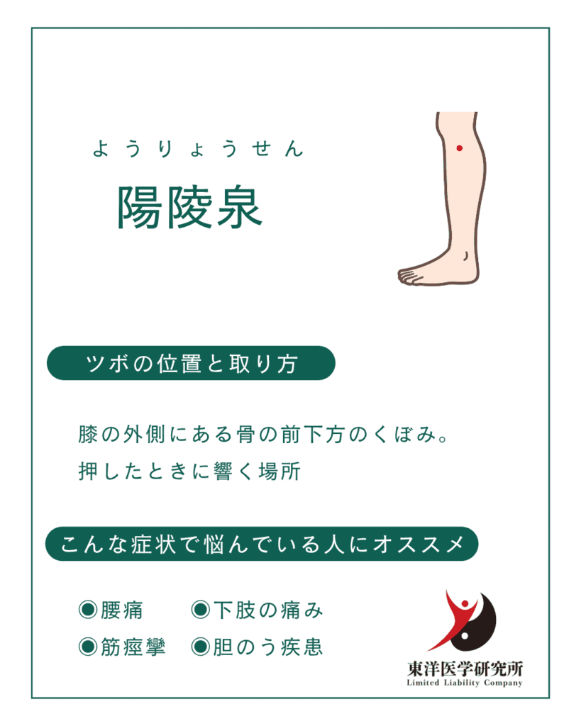 陽陵泉のツボ