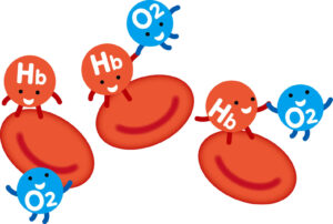 コレステロール